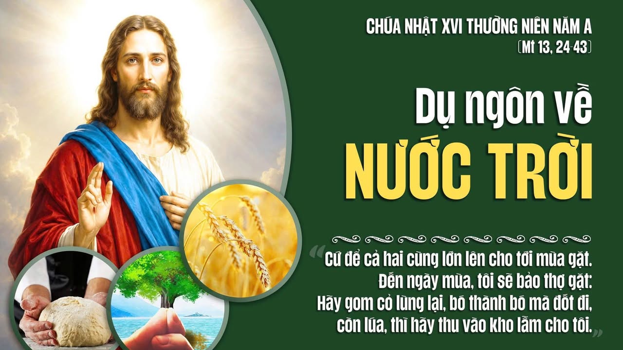 CHÚA NHẬT XVI THƯỜNG NIÊN NĂM A