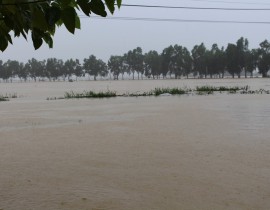 Hình ảnh lũ lụt Giáo xứ Dương ngày 07/11/2017 lúc 15 giờ.
