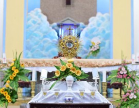 Hình ảnh Kiệu Mình Thánh Chúa - Giáo xứ Dương Sơn (P1)
